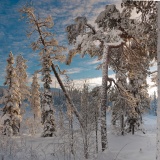 Jeris week 45 12--10